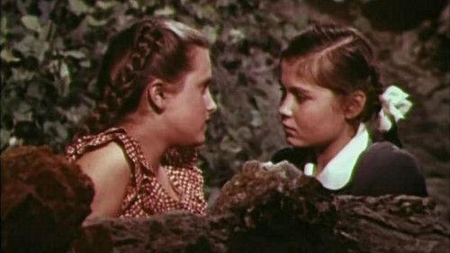 Adventure in Odessa filmas žiurėti online