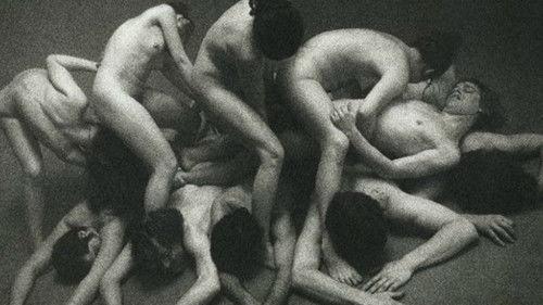 Dionysus in '69 filmas žiurėti online