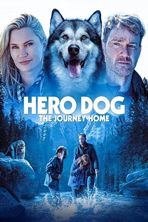 Hero Dog: The Journey Home filmas online