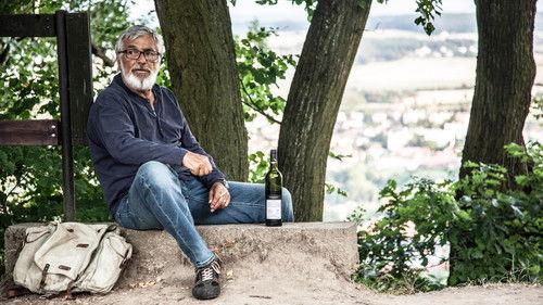 Teorie tygra filmas žiurėti online