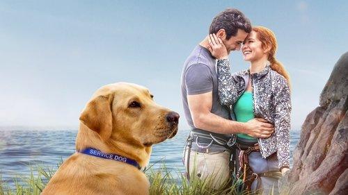 Guiding Emily filmas žiurėti online