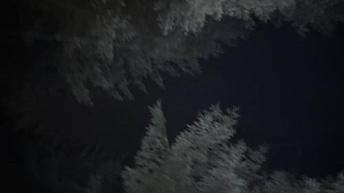Last to Die filmas žiurėti online