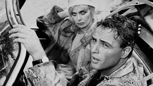 The Fugitive Kind filmas žiurėti online