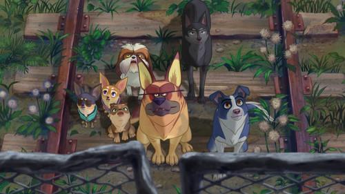 A Dog's Courage filmas žiurėti online