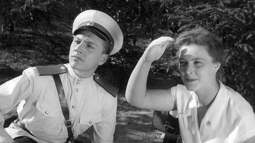 Case No. 306 filmas žiurėti online