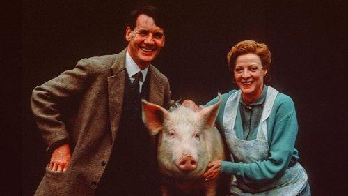 A Private Function filmas žiurėti online