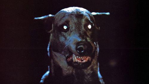 Dracula's Dog filmas žiurėti online