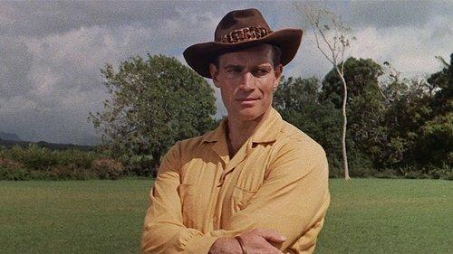 Diamond Head filmas žiurėti online