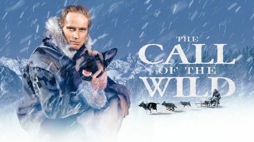 The Call of the Wild filmas žiurėti online