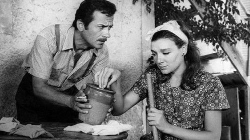 Horafa family filmas žiurėti online