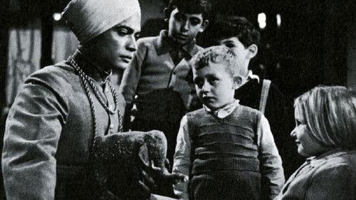 Buongiorno, elefante! filmas žiurėti online