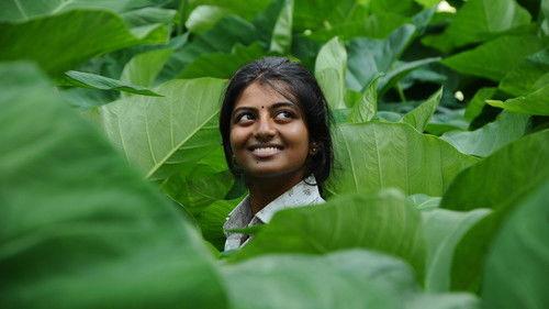 Kayal filmas žiurėti online