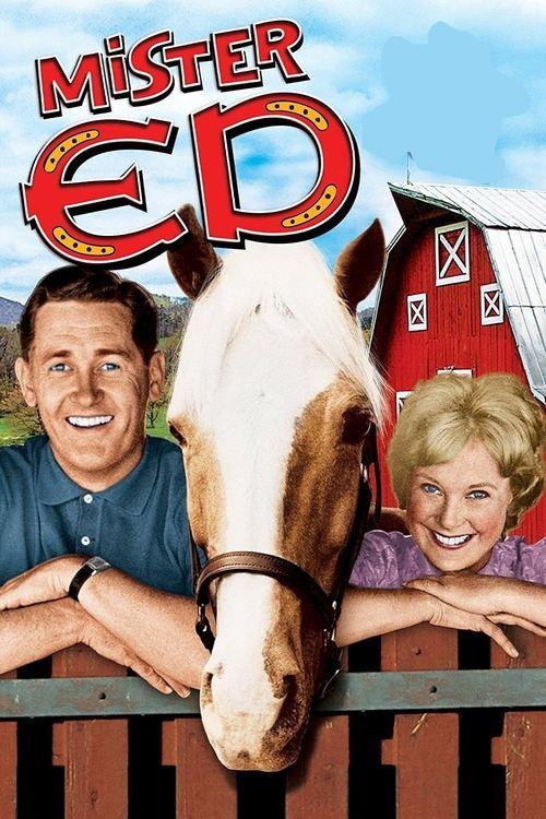 Mister Ed filmas online