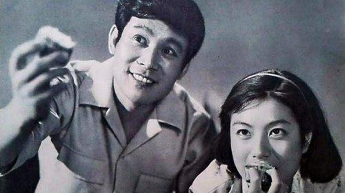 Murder in 405 filmas žiurėti online