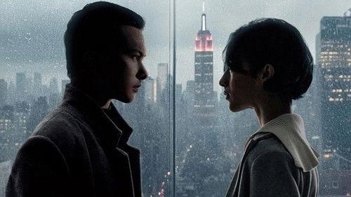 The Architecture of Love filmas žiurėti online