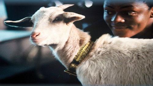 Max and Mona filmas žiurėti online