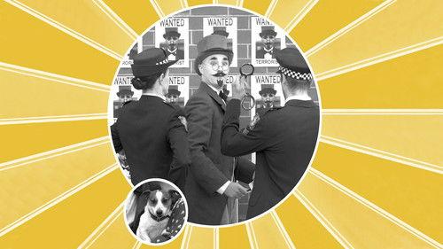 Dr. Plonk filmas žiurėti online