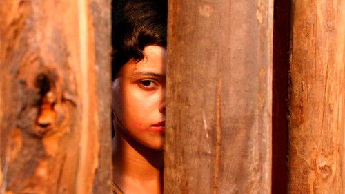 Anjos do Sol filmas žiurėti online