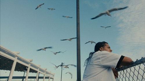 Mad Bills to Pay (or Destiny, dile que no soy malo) filmas žiurėti online