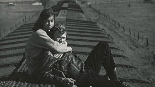 Wild Seed filmas žiurėti online