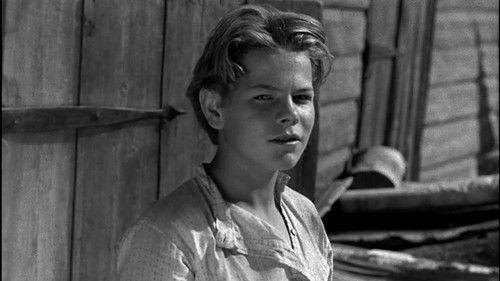 My Apprenticeship filmas žiurėti online