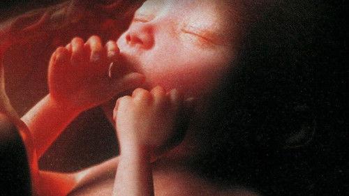 L'odyssée de la vie filmas žiurėti online