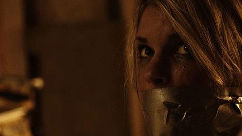 Johan Falk: Organizatsija Karayan filmas žiurėti online