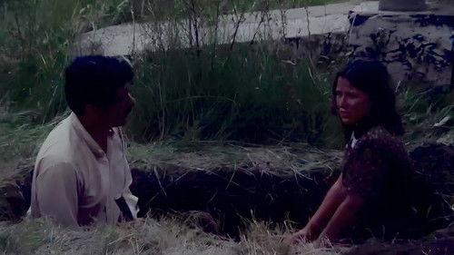 Los confines filmas žiurėti online