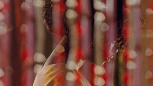 Eyimofe filmas žiurėti online