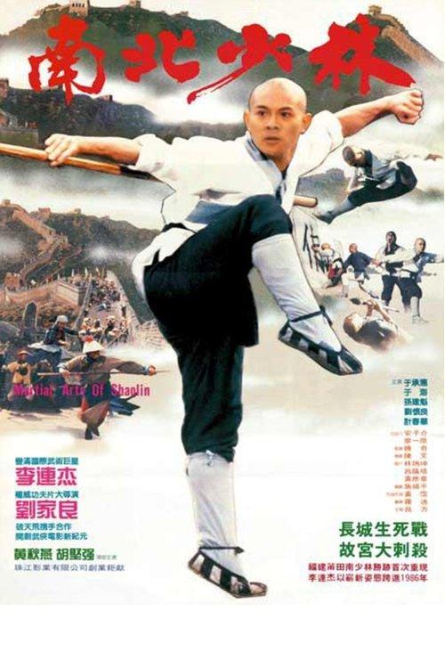 Martial Arts of Shaolin filmas online
