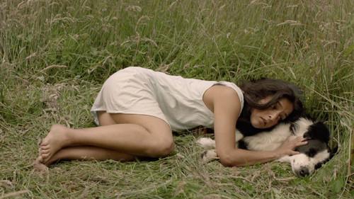 Death Will Come and Shall Have Your Eyes filmas žiurėti online