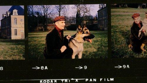 La Folle Aventure de Louis de Funès filmas žiurėti online