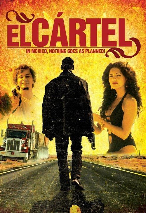 El cártel filmas online