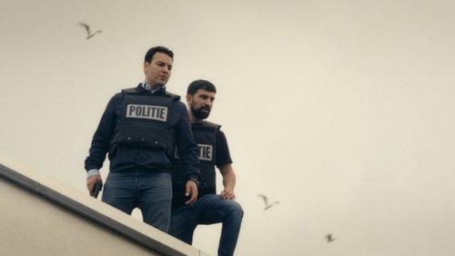 Scotoe filmas žiurėti online