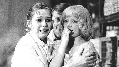 Holky z porcelánu filmas žiurėti online