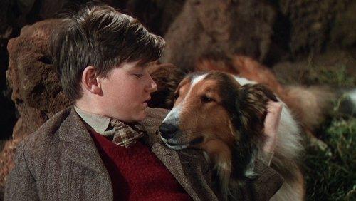 Lassie Come Home filmas žiurėti online