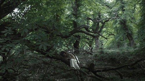 Entwined filmas žiurėti online