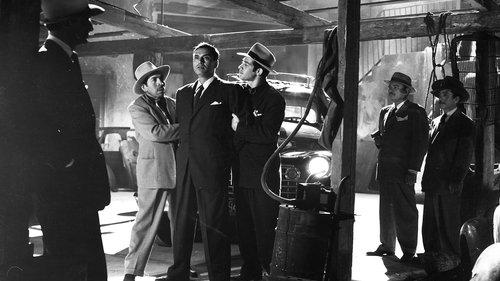 Night Falls filmas žiurėti online