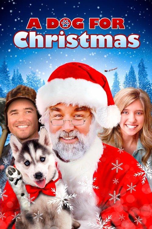 A Dog for Christmas filmas online