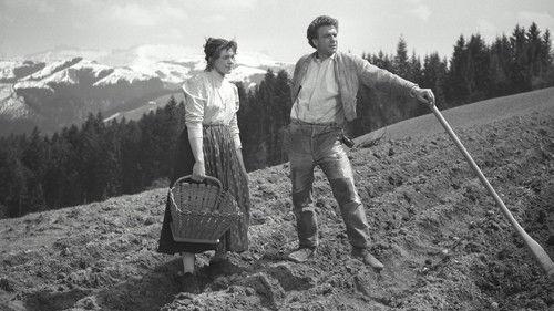 Uli der Knecht filmas žiurėti online