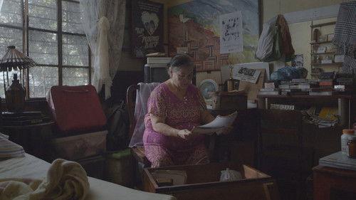 Ang Pagbabalik ng Kwago filmas žiurėti online