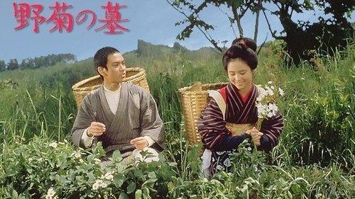 The Wild Daisy filmas žiurėti online