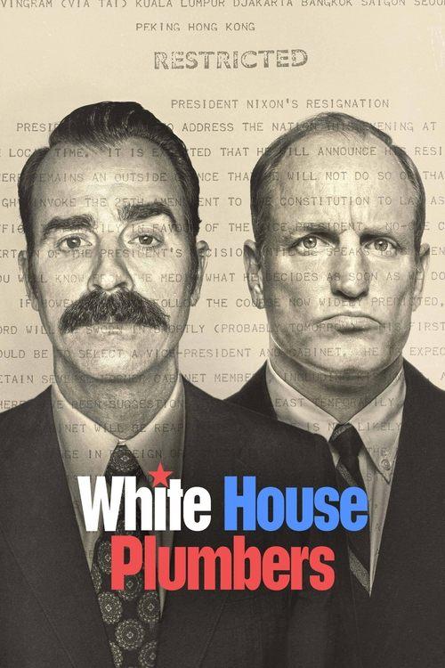 White House Plumbers filmas online