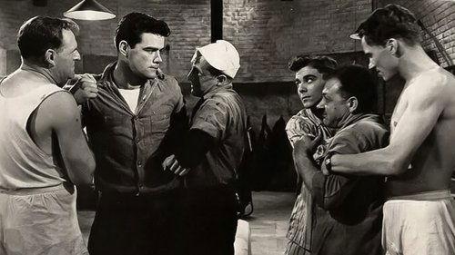 Seagulls Over Sorrento filmas žiurėti online