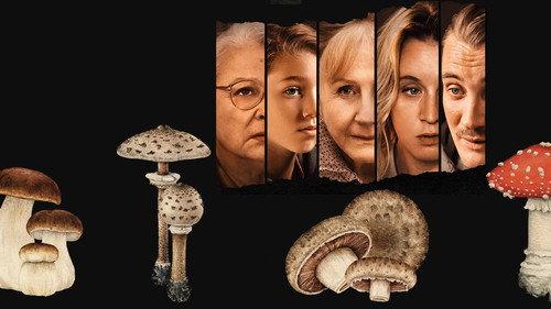 Kai ateina ruduo filmas žiurėti online