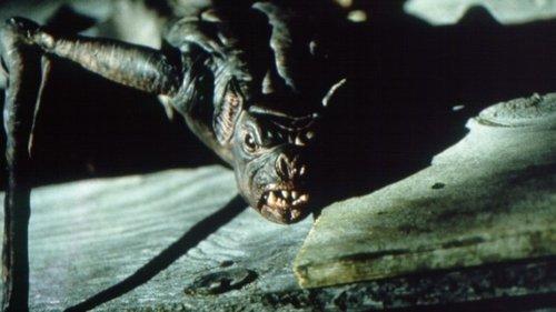 Bats filmas žiurėti online