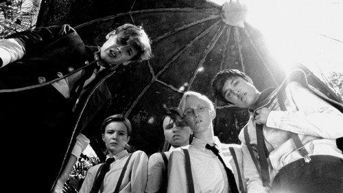 Laukiniai berniukai filmas žiurėti online