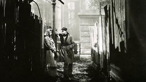 They Drive by Night filmas žiurėti online