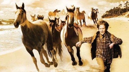 Touching Wild Horses filmas žiurėti online