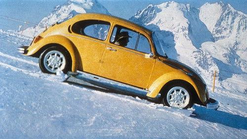 Superbug, the Wild One filmas žiurėti online